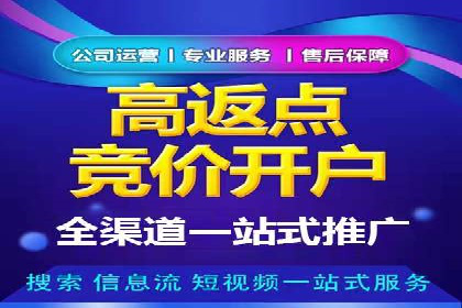 SEM公司案例研究：搜索引擎营销实战经验分享