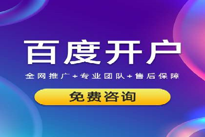 sem百度竞价实战：成功案例解析